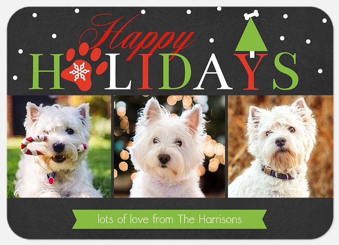 Holiday Pup  Holiday Photo Cards