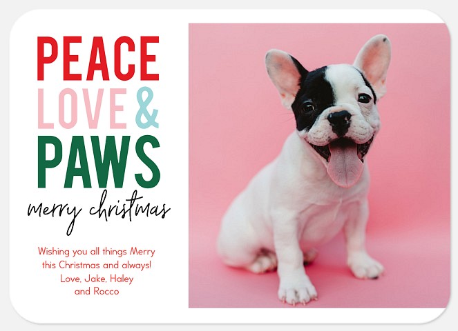 Peace, Love and Paws Holiday Photo Cards