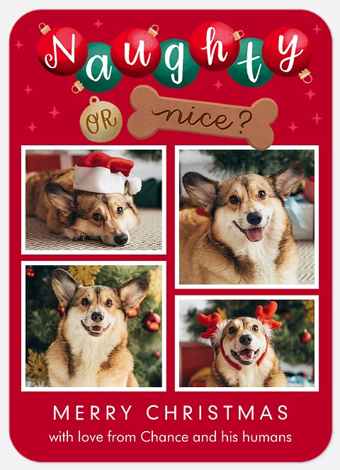 Naughty or Nice Holiday Photo Cards