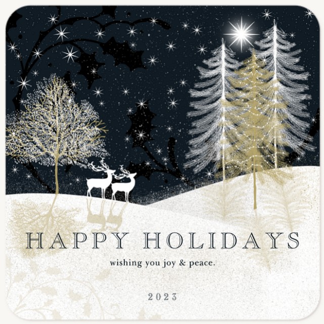 Wintry Night Business Holiday Cards