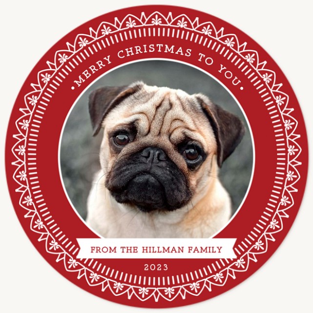 Embroidered Frame Dog Christmas Cards