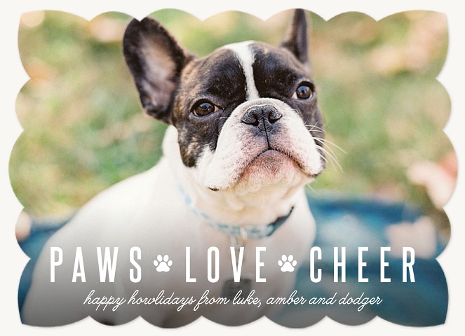 Cheerful Paws Photo Holiday Cards