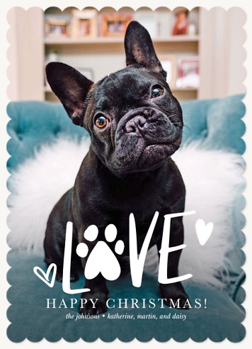 Furever Friend Christmas Cards