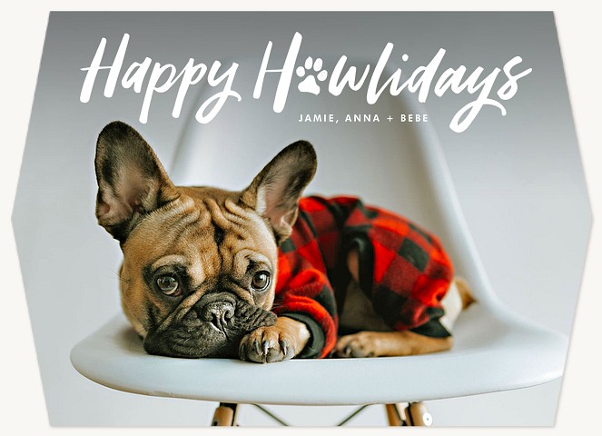 Happy Howlidays Personalized Holiday Cards