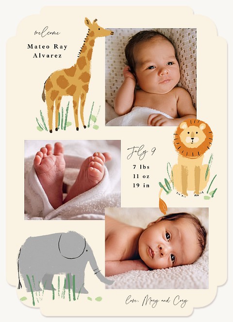 Little Zoo Baby Announcements