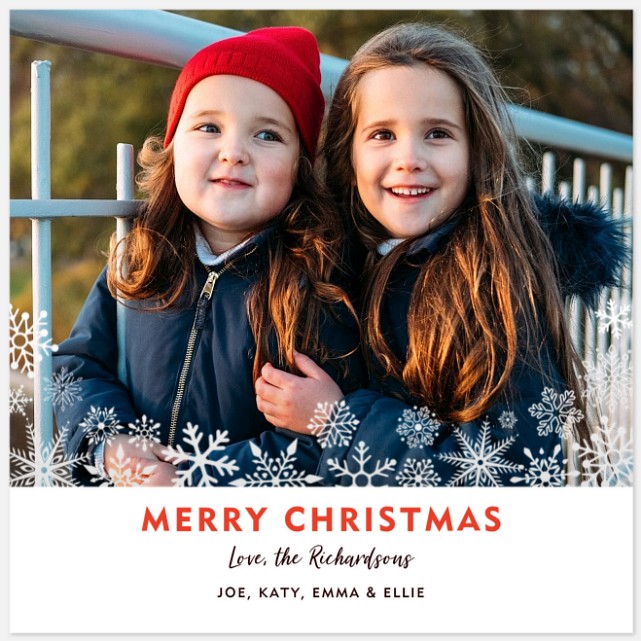 Snowful Border Holiday Photo Cards